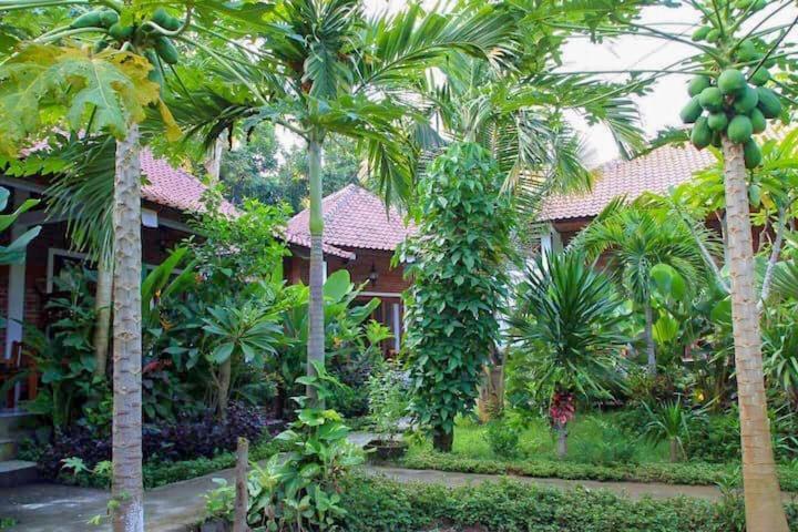 Enak Bungalow Amed Exterior foto